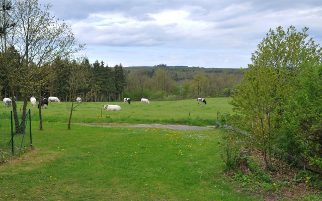 Inviting Holiday Home, Near Cave of Lorette, Namur and Parc Naturel Rgional des Ardennes - фото 5