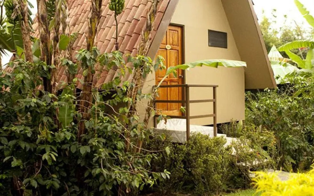 Pura Vida Retreat & Spa