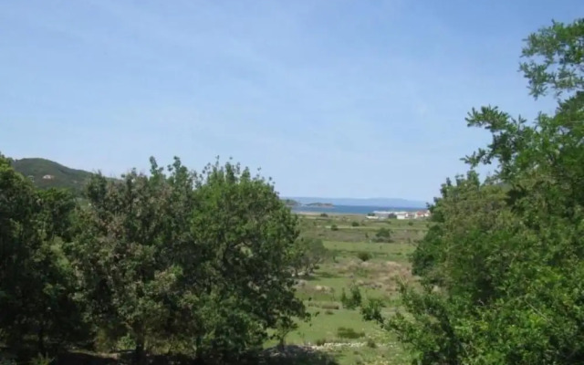 Xena - Comfort and Spacious - A1 Grey