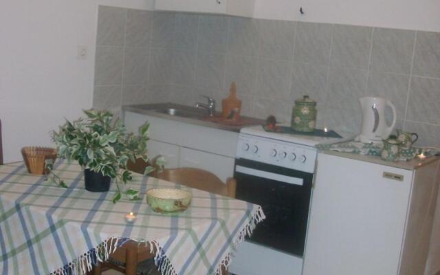 Riley - at the sea - A2-martino 2