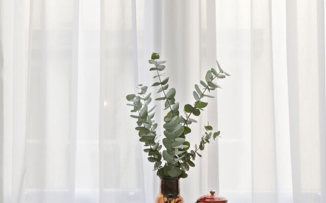 SACO Bristol- West India House