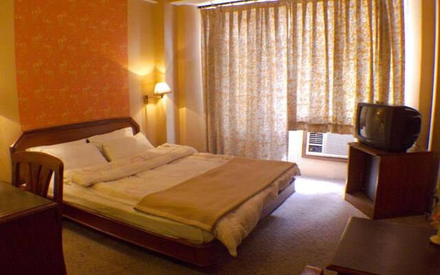 Hotel Lion