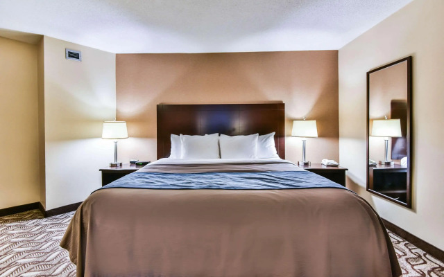 Comfort Inn & Suites Ambassador Bridge