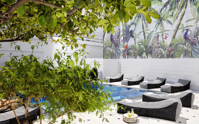 Vasia Boulevard Hotel (Adults Only)