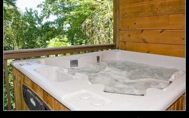 Mountain Bearadise 2 Bedrooms 2 Bathrooms Cabin