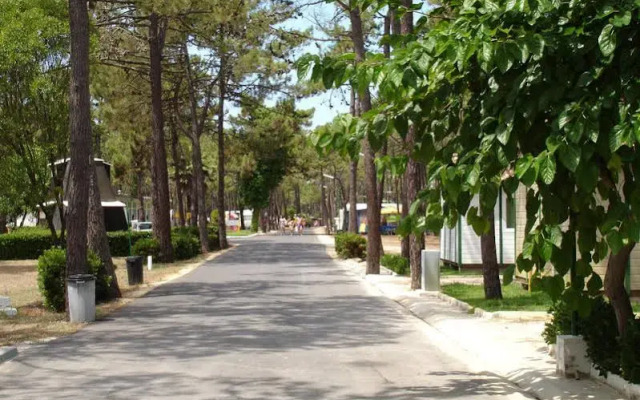 Parque de Campismo Orbitur Gala