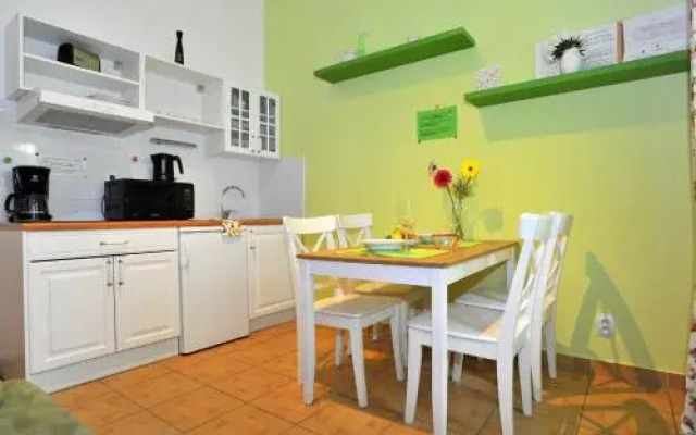 Penthouse Apartment in Vinohrady