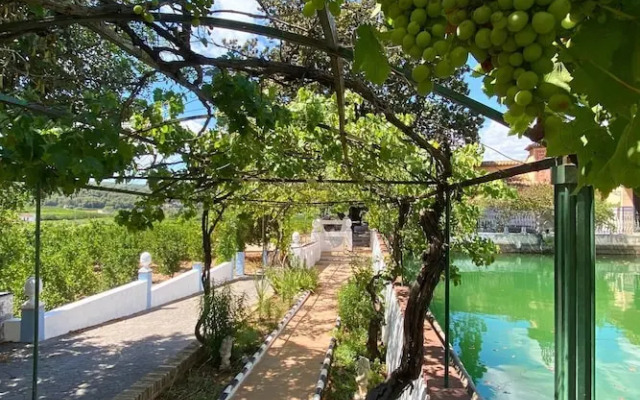 Room-orange Room Your Refuge of Tranqu