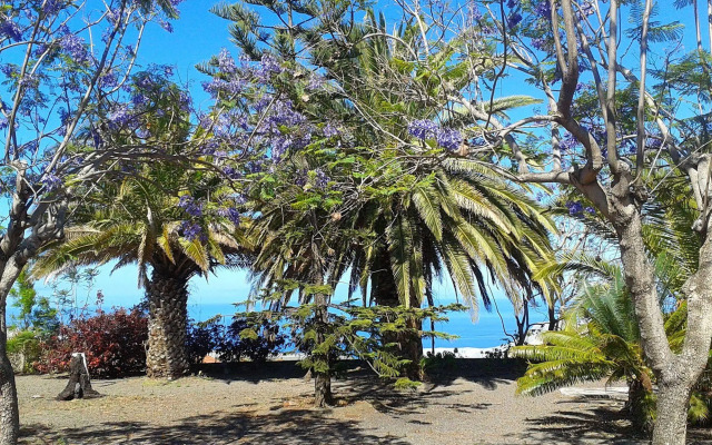 La Palma Sun Nudist
