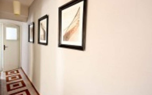 Pinzochere Michelangelo