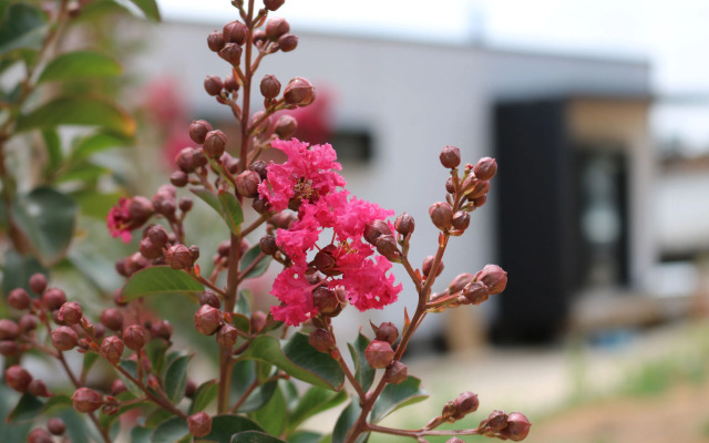 Pavilions at Lenswood