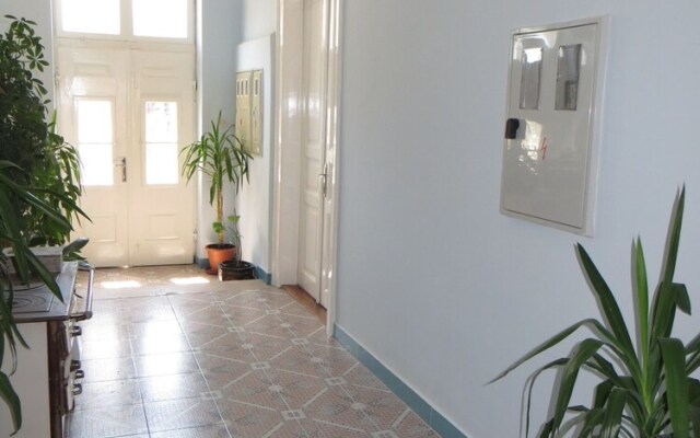 Apartment Ivona CK 1