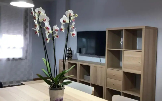 Apartamentos Lemos Luna