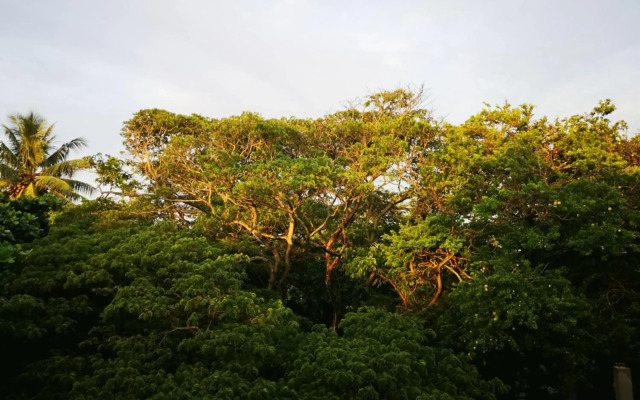 Guesthouse Serendib Village