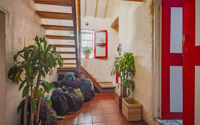 Botanico Hostel