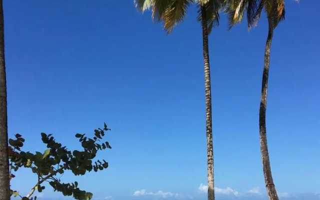 Adults Only Hacienda Terra Taina