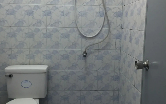 Palm House white building