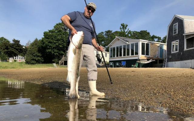 The Onset Beach Compound-Cape Cod Beach Resort & Oceanic Habitat