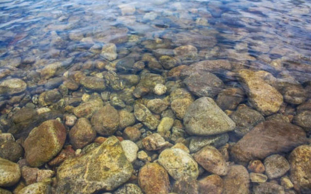 Yangyang Pinot Tree Pension