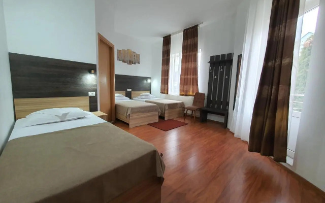 Hotel Mures