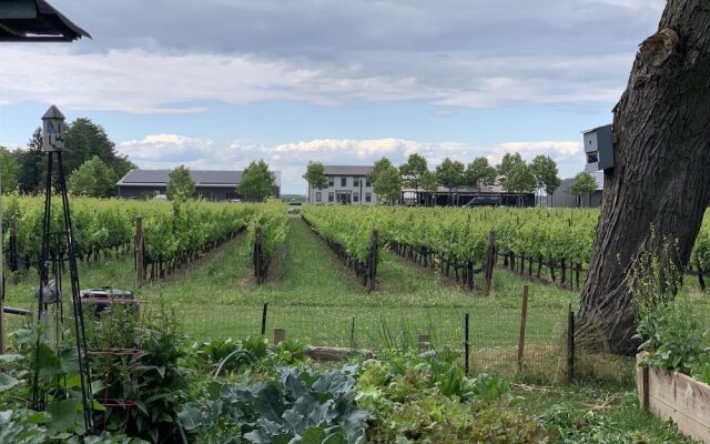 Green Oaks Bed and Breakfast