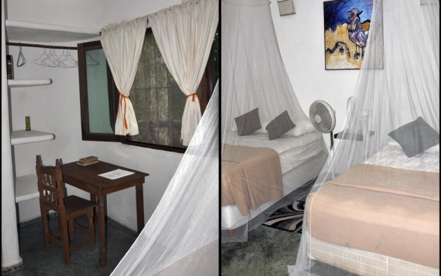Jolie Jungle Eco Hotel