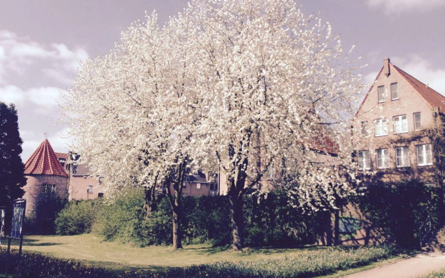 Bed and Breakfast am Meerturm