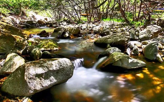 Pyeongchang White Windmill Pension