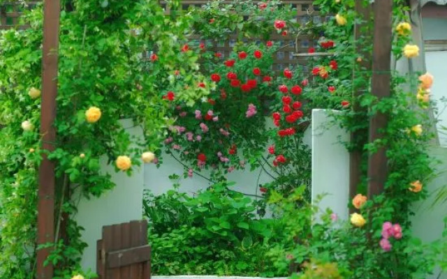 Painter Garden Homestay