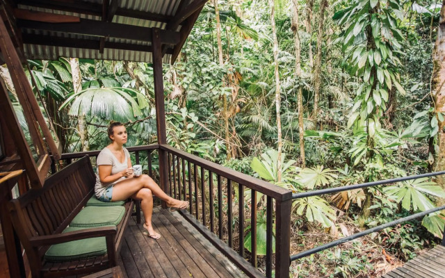 Daintree Wilderness Lodge