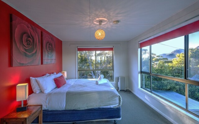 Cove Beach Apartment