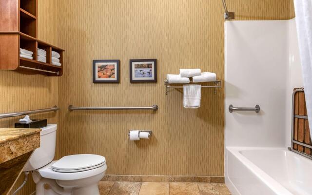 Comfort Inn Wings Stadium