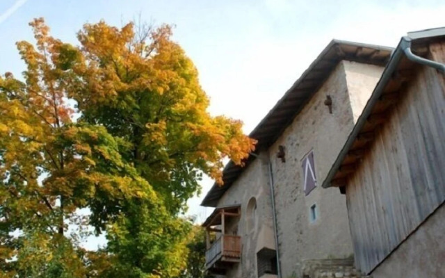 Azienda Agricola Castel Vasio