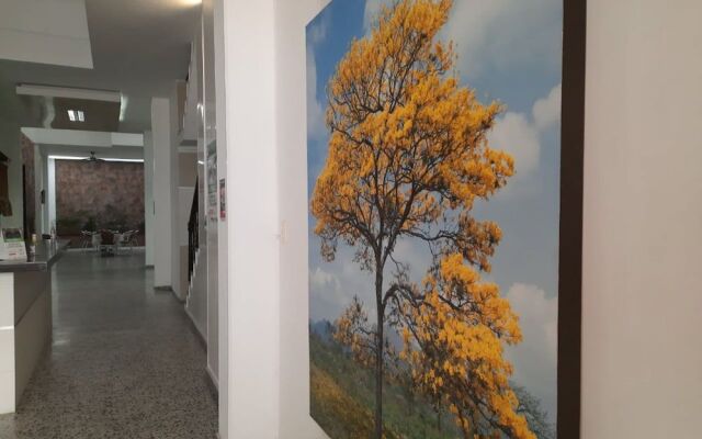 Hotel El Flor Amarillo
