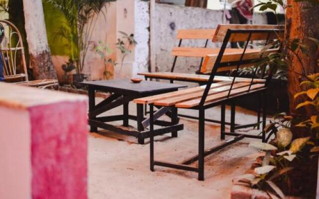 Cactus Guesthouse