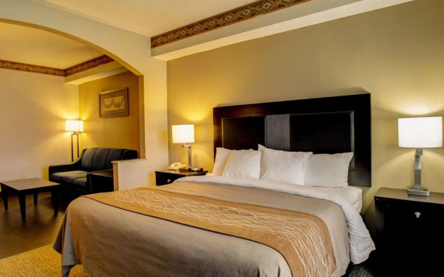 Comfort Inn & Suites Seguin