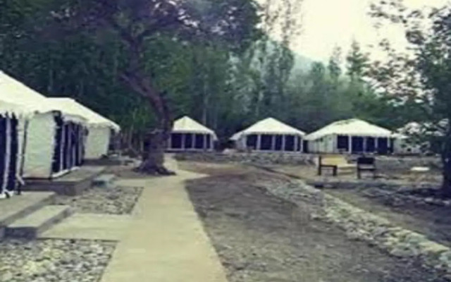 Terrain Ladakh Camping Nubra