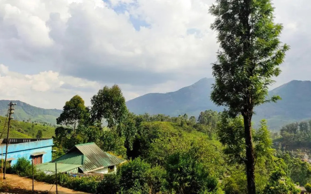 Munnar valley view