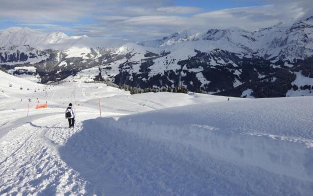 Lenk,Berner Oberland,Ferienwohnung 4 Bett, Kinderfreundlich,TraumpanoramaLenk