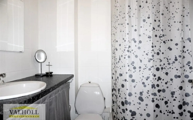 Reykjavik Center Condos