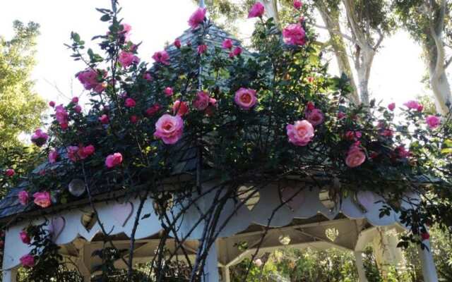 Kaleidoscope Inn & Gardens