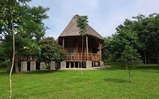Kibale Canopy Lodge