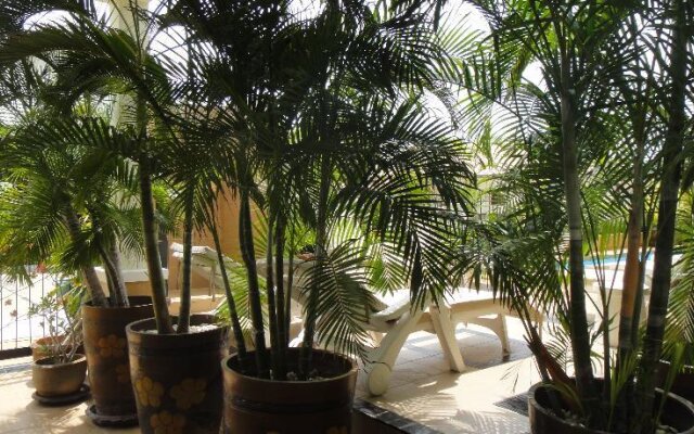 Palm Tree Villa