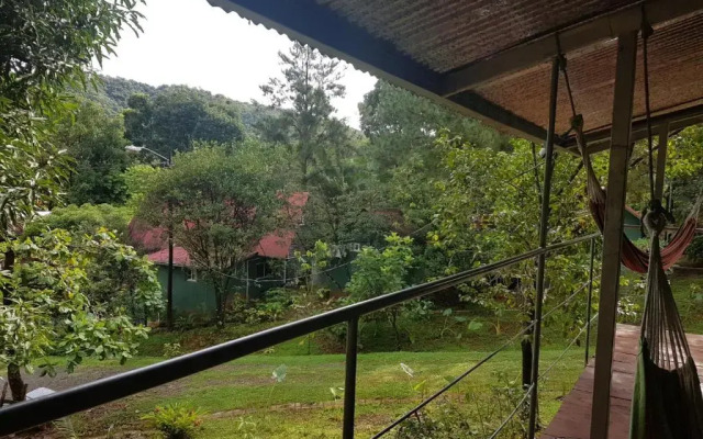 Los Pinos De Torio