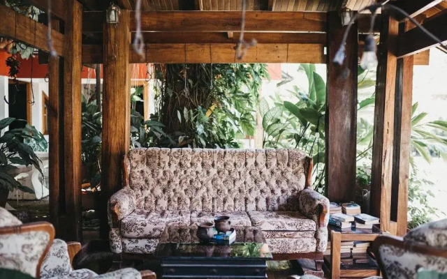 Hotel Javy