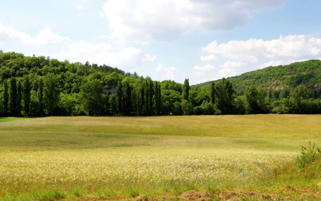 Cozy Holiday Home in Bouzic South of France near Meadows
