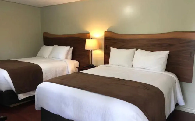 Adventure the Bruce Inn - Recently Renovated With Outdoor Hot Tub