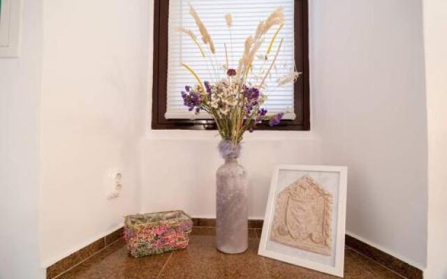 Studio Apartman Frankopan