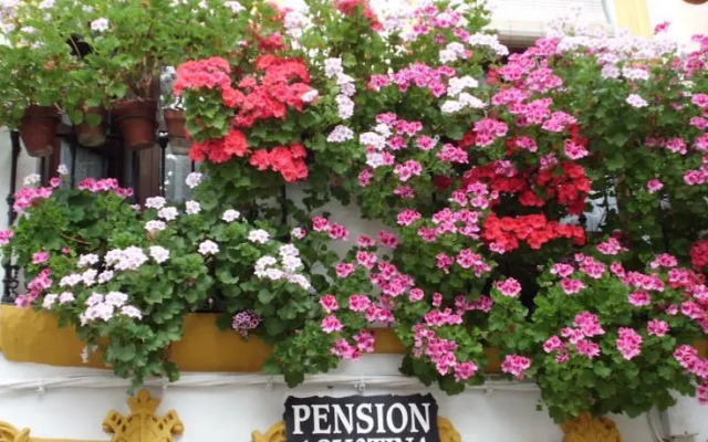 Pension Agustina