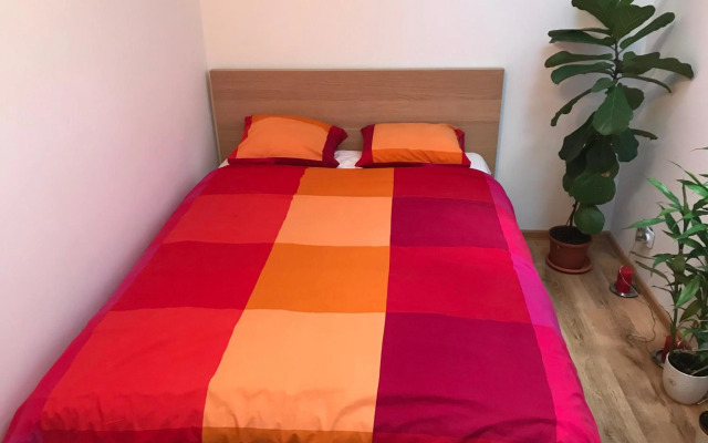 luxury apartment mihai bravu